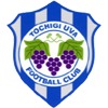 栃木市